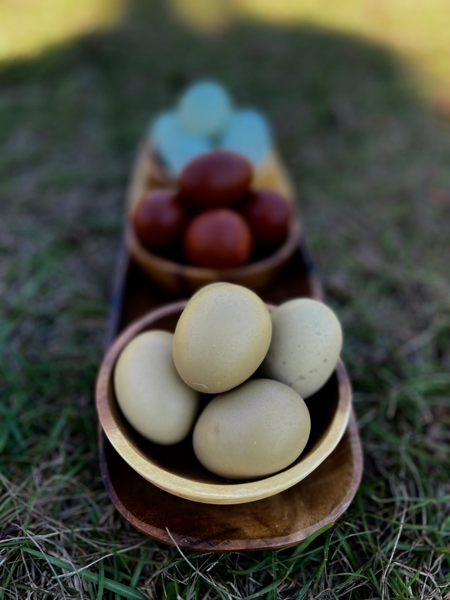 1 Dozen Farm Rainbow Hatching Eggs