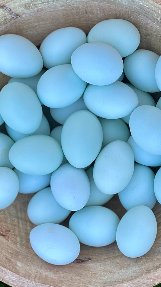 Whiting True Blue Hatching Eggs